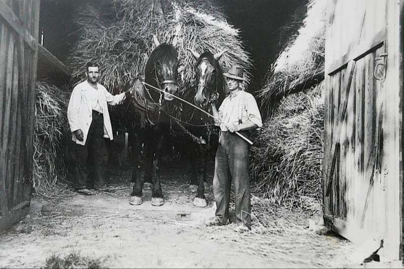 Bettenheimer Geschichte