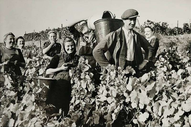 Bettenheimer Geschichte