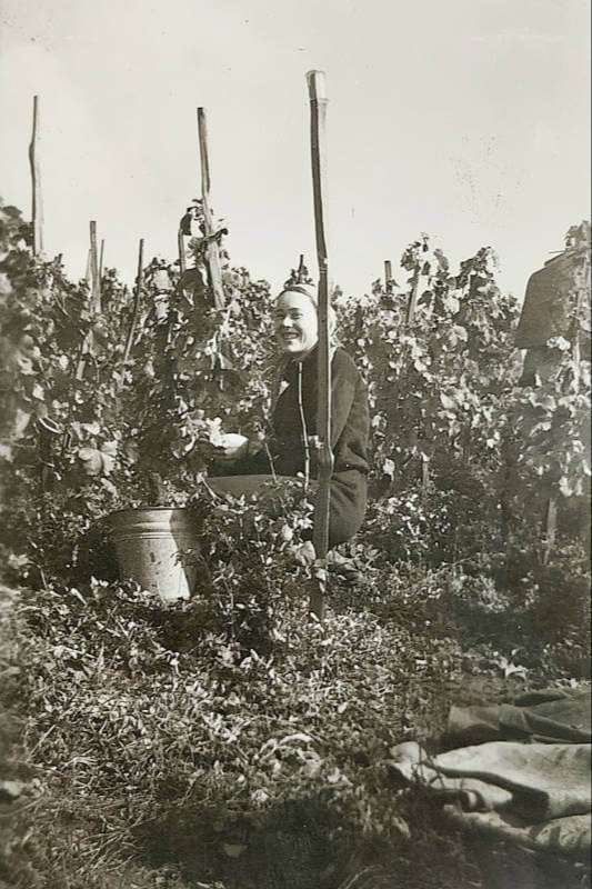 Bettenheimer Geschichte