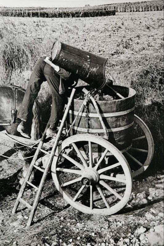 Bettenheimer Geschichte