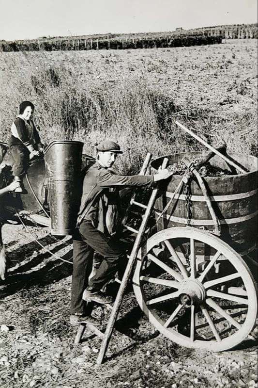 Bettenheimer Geschichte